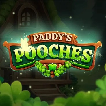 Paddy's Pooches